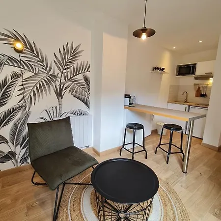 Le Westinghouse - Jardin Prive - Centre - Gare شقة