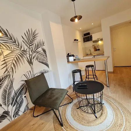 Le Westinghouse - Jardin Prive - Centre - Gare Apartment *